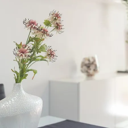 Delfines Apartman